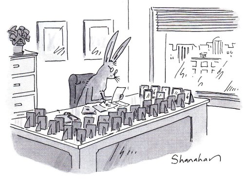 Bunny executive's desk cartoon